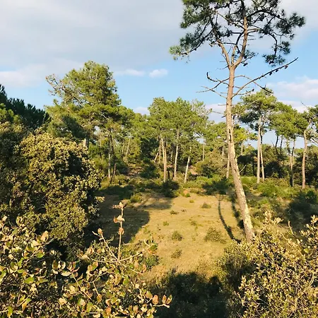 Holiday home Maison Du Bourg, Cosy Et Confort Saint-Jean-de-Monts