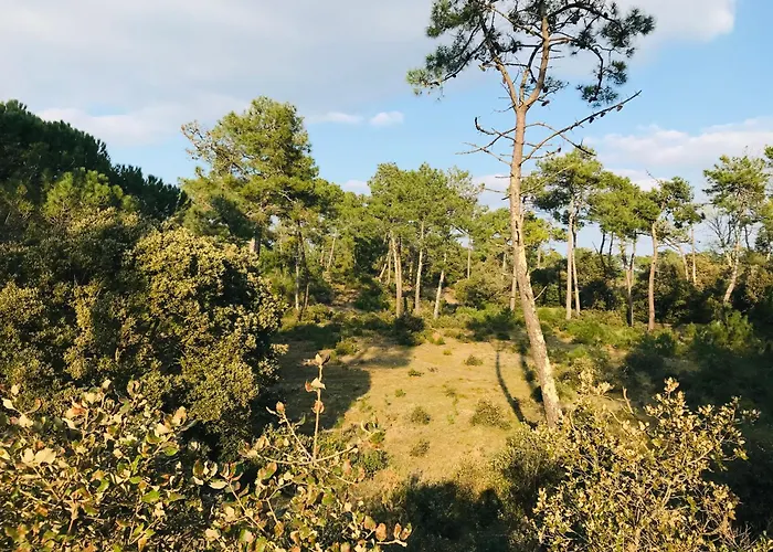 펜션 Maison Proche Centre Ville, Cosy Et Confort 생장드몽